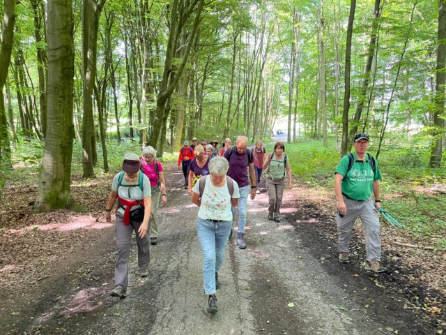Rundweg um den Longinusturm in den Baumbergen