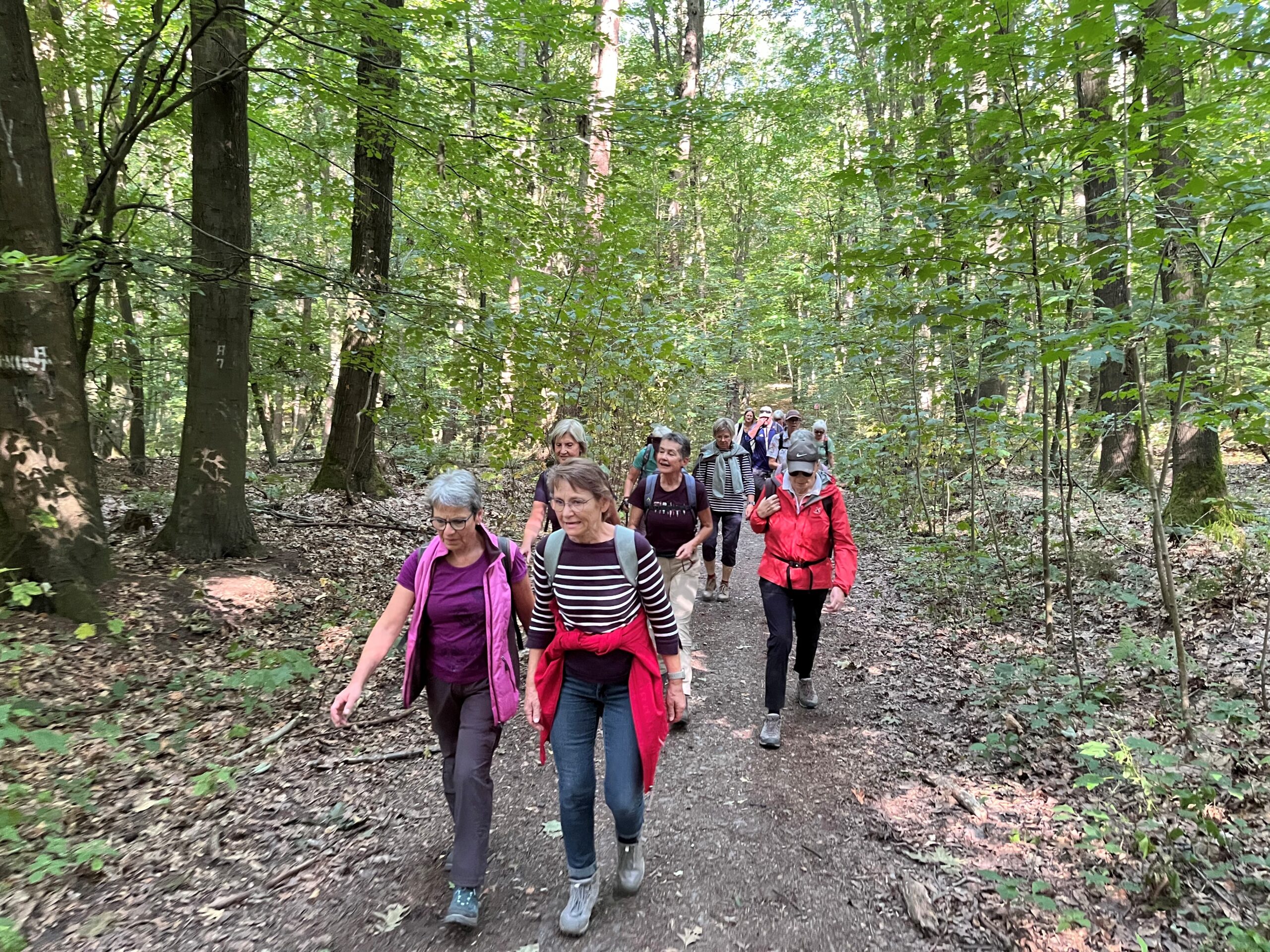 Der LandStreifer Rundweg „Tiefe Berge, hohe Täler“ in der Hohen Mark für den dritten Wandertag im Rahmen von Sport im Park | DJK-Drensteinfurt