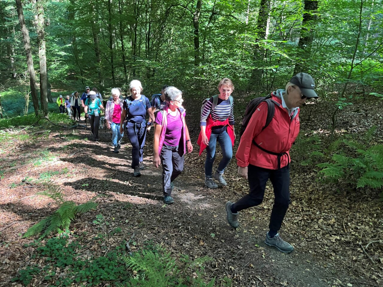 Der LandStreifer Rundweg „Tiefe Berge, hohe Täler“ in der Hohen Mark für den dritten Wandertag im Rahmen von Sport im Park | DJK-Drensteinfurt