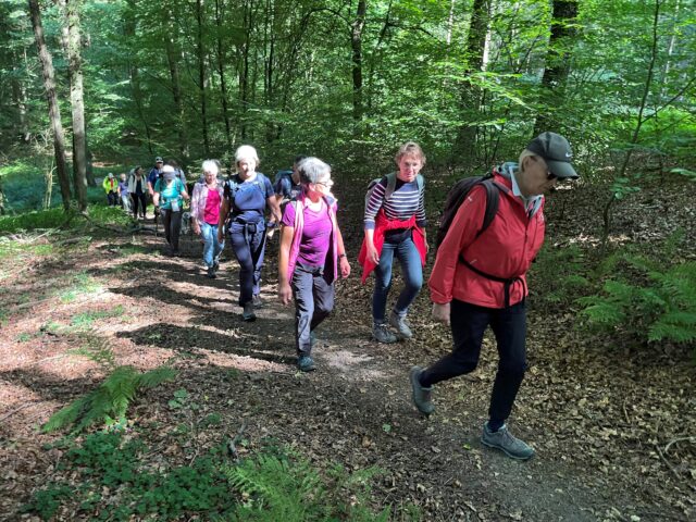 Jahresprogramm Wandern: 2026 Wandern mit Manni und Gerhard
