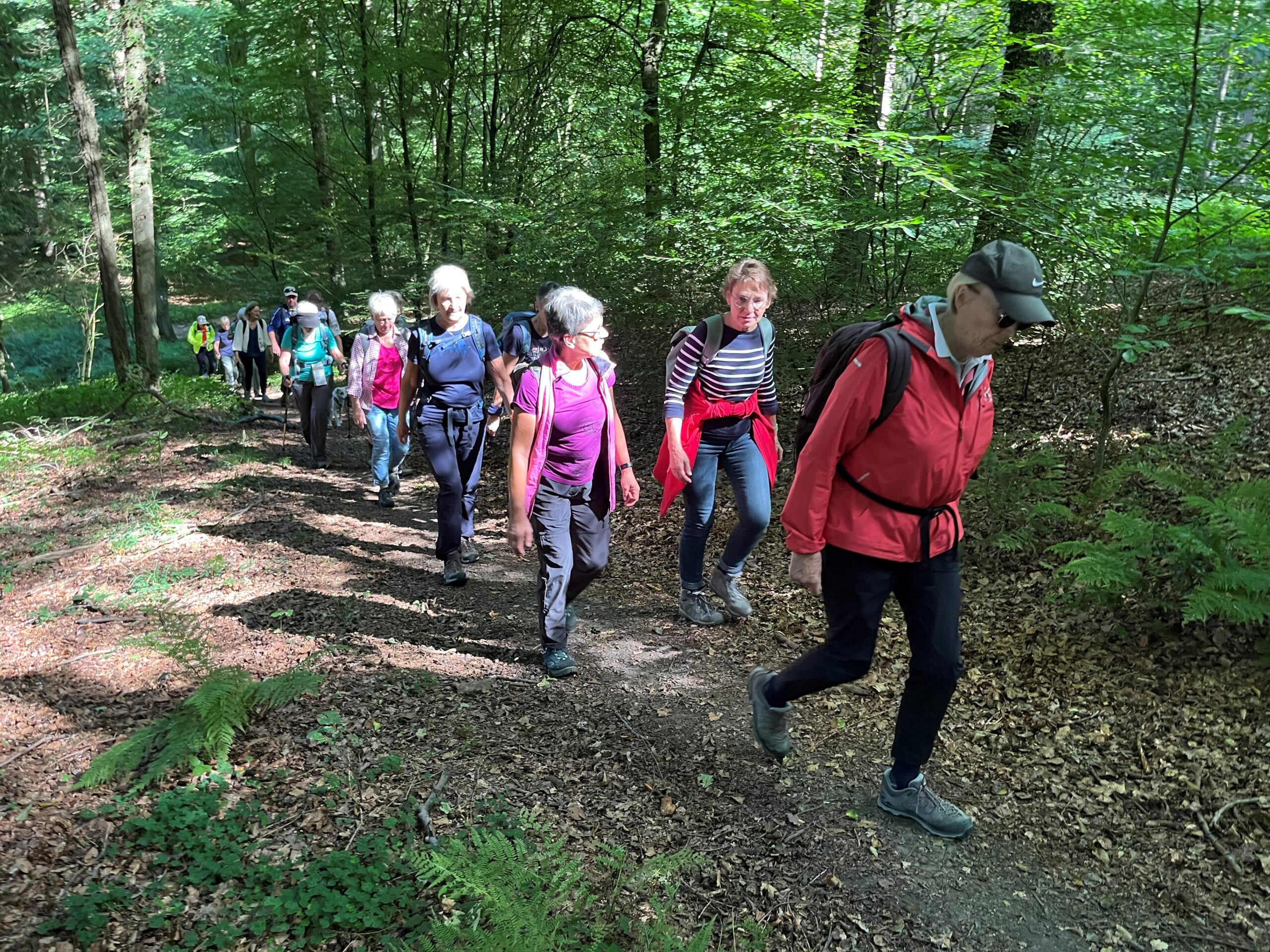 Der LandStreifer Rundweg „Tiefe Berge, hohe Täler“ in der Hohen Mark für den dritten Wandertag im Rahmen von Sport im Park | DJK-Drensteinfurt