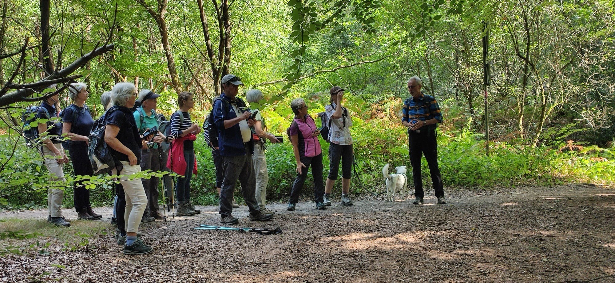 Der LandStreifer Rundweg „Tiefe Berge, hohe Täler“ in der Hohen Mark für den dritten Wandertag im Rahmen von Sport im Park | DJK-Drensteinfurt