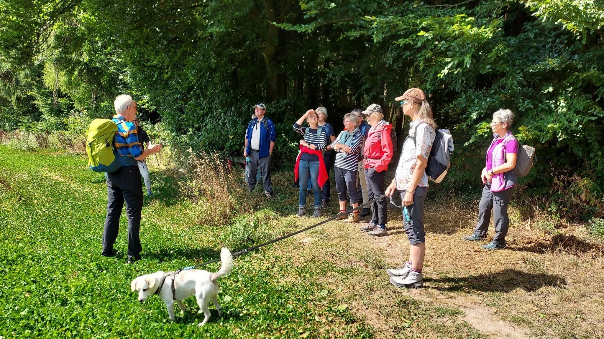 Der LandStreifer Rundweg „Tiefe Berge, hohe Täler“ in der Hohen Mark für den dritten Wandertag im Rahmen von Sport im Park | DJK-Drensteinfurt