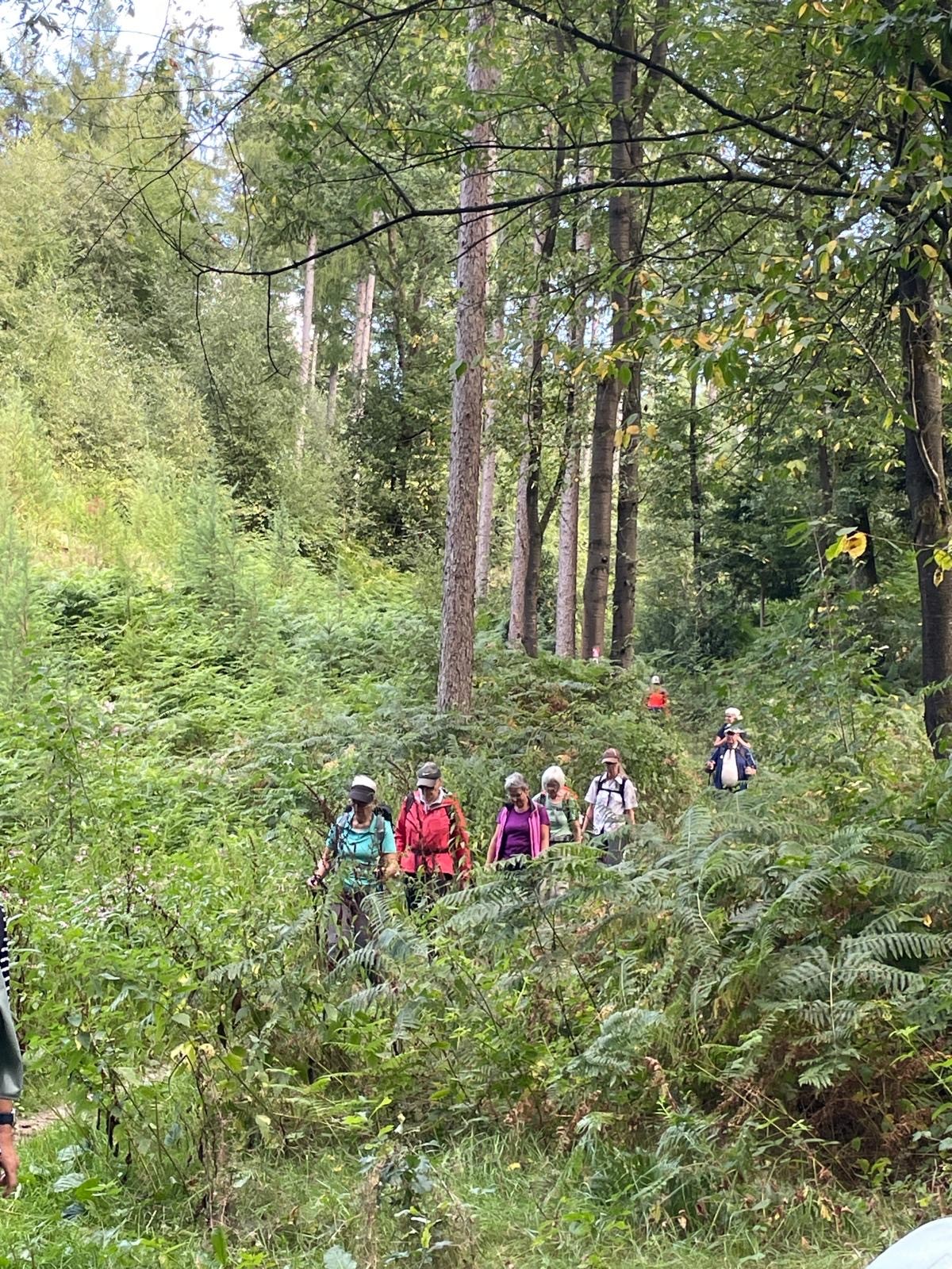 Der LandStreifer Rundweg „Tiefe Berge, hohe Täler“ in der Hohen Mark für den dritten Wandertag im Rahmen von Sport im Park | DJK-Drensteinfurt