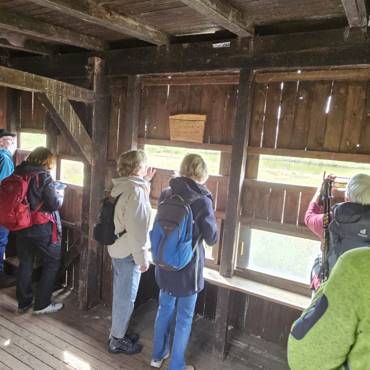 Wandern im Europareservat Rieselfelder Münster | Wandern mit Manni | DJK Drensteinfurt