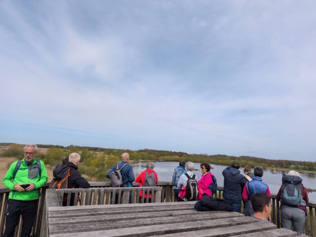 Wandern im Europareservat | Rieselfelder Münster
