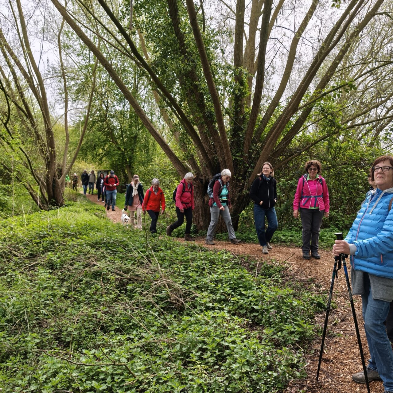 Wandern im Europareservat Rieselfelder Münster | Wandern mit Manni | DJK Drensteinfurt